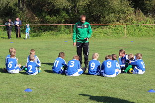 九游娱乐网页入口-意甲攻守大比拼：速度与战术的融合！，意甲战术强在哪里